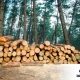 El-reglamento-de-la-madera-de-la-EU
